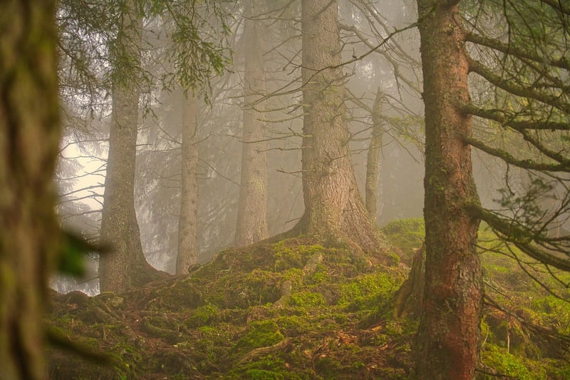 Future Getaway: Sustainable Tourism